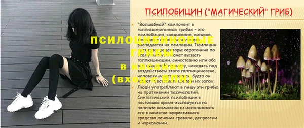 гидропоника Бронницы