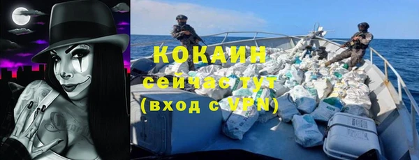 твердый Верхний Тагил