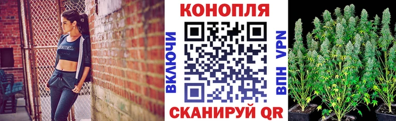 Каннабис White Widow Кириши